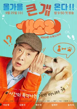 poster for Gaesori